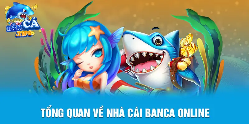 Tổng quan về nhà cái bắn cá online uy tín