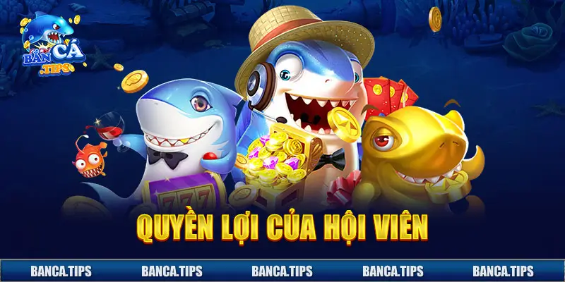 Chính sách bảo mật quy định về quyền lợi của hội viên