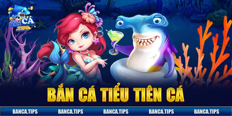Banca Tiểu Tiên Cá đang nhận được đánh giá cao trên các diễn đàn lớn