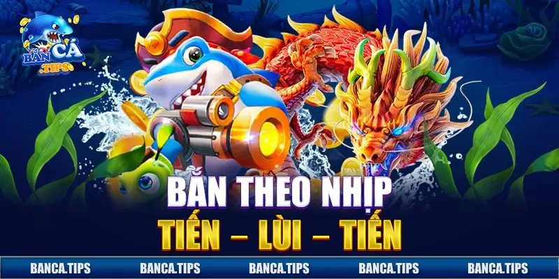 Chơi theo nhịp tiến – lùi – tiến sẽ giúp anh em săn được cá lớn